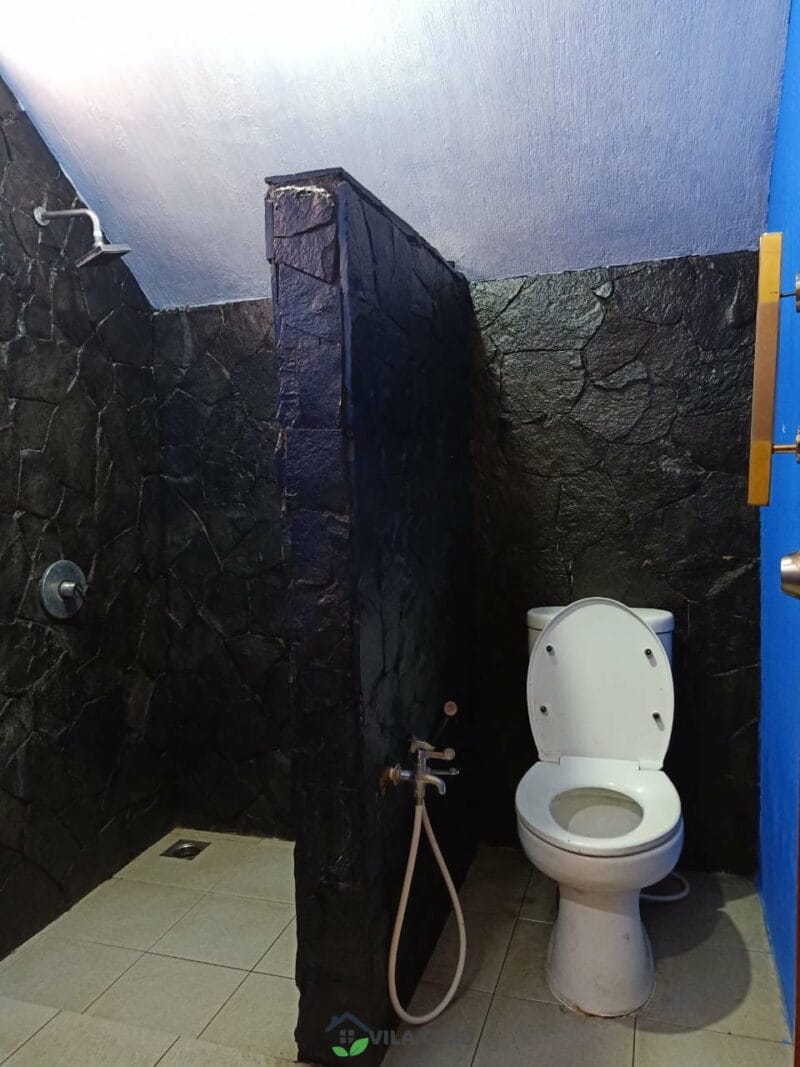 Villa Agus Puncak Kapasitas 100 150 Orang