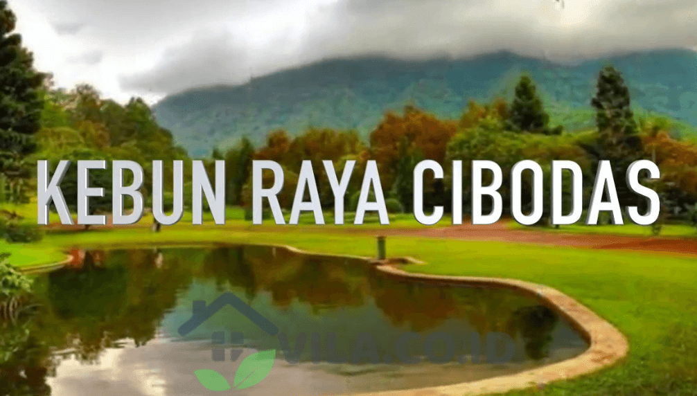 kebun raya cibodas