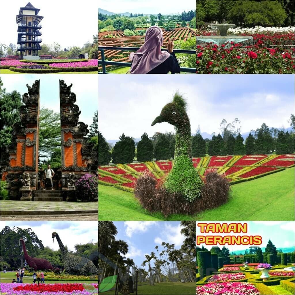 Wisata Taman Bunga Nusantara Puncak, Tiket Masuk & Alamat VILA.CO.ID