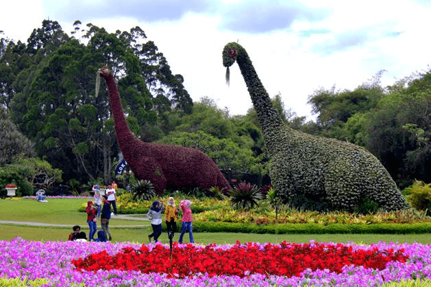 Dinosaurus taman bunga