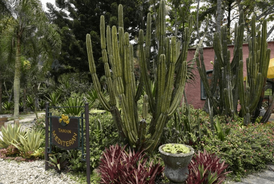 taman mediteran cipanas